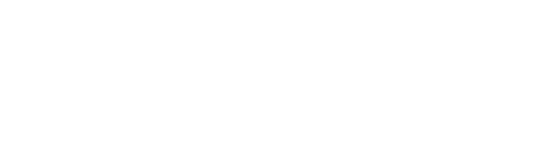 OnSport AI